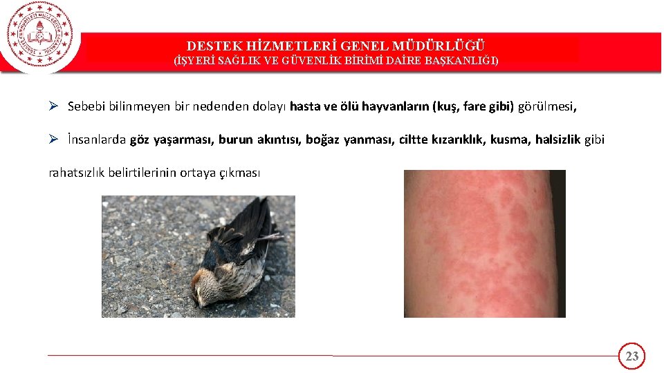 DESTEK HİZMETLERİ GENEL MÜDÜRLÜĞÜ DESTEK(İŞYERİ HİZMETLERİ GENEL MÜDÜRLÜĞÜ SAĞLIK VE GÜVENLİK BİRİMİ DAİRE BAŞKANLIĞI)