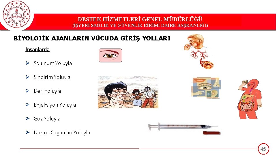 DESTEK HİZMETLERİ GENEL MÜDÜRLÜĞÜ DESTEK(İŞYERİ HİZMETLERİ GENEL MÜDÜRLÜĞÜ SAĞLIK VE GÜVENLİK BİRİMİ DAİRE BAŞKANLIĞI)