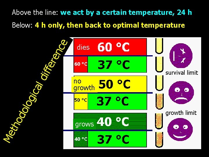 Above the line: we act by a certain temperature, 24 h dies survival limit