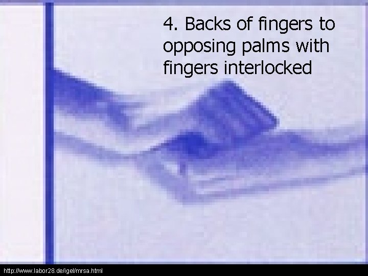 4. Backs of fingers to opposing palms with fingers interlocked http: //www. labor 28.