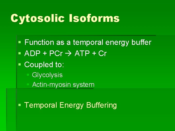 Cytosolic Isoforms § § § Function as a temporal energy buffer ADP + PCr