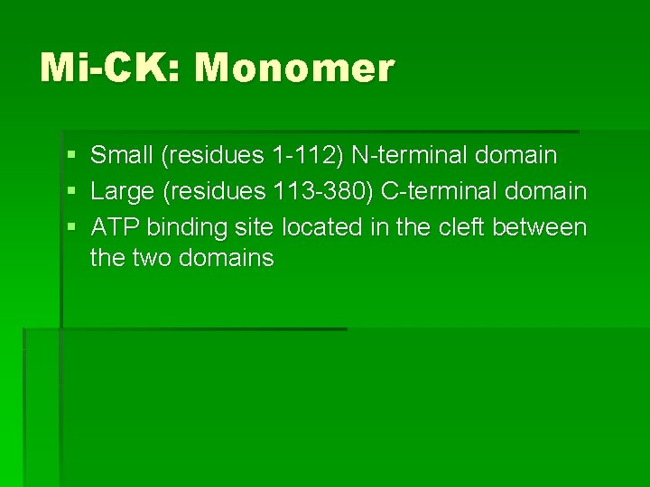 Mi-CK: Monomer § Small (residues 1 -112) N-terminal domain § Large (residues 113 -380)