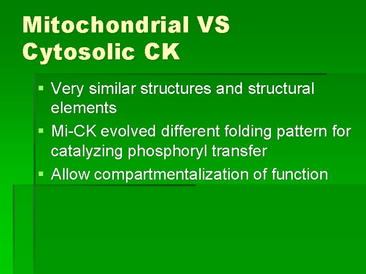 Mitochondrial VS Cytosolic CK § Very similar structures and structural elements § Mi-CK evolved