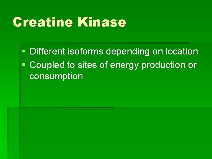 Creatine Kinase § Different isoforms depending on location § Coupled to sites of energy