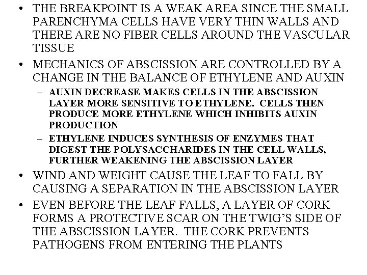  • THE BREAKPOINT IS A WEAK AREA SINCE THE SMALL PARENCHYMA CELLS HAVE