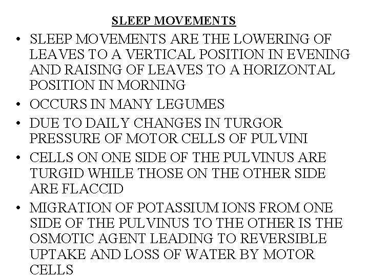 SLEEP MOVEMENTS • SLEEP MOVEMENTS ARE THE LOWERING OF LEAVES TO A VERTICAL POSITION