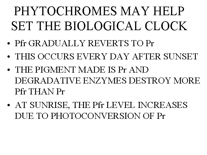 PHYTOCHROMES MAY HELP SET THE BIOLOGICAL CLOCK • Pfr GRADUALLY REVERTS TO Pr •