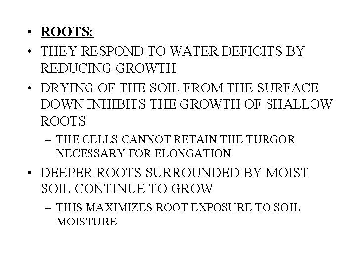  • ROOTS: • THEY RESPOND TO WATER DEFICITS BY REDUCING GROWTH • DRYING
