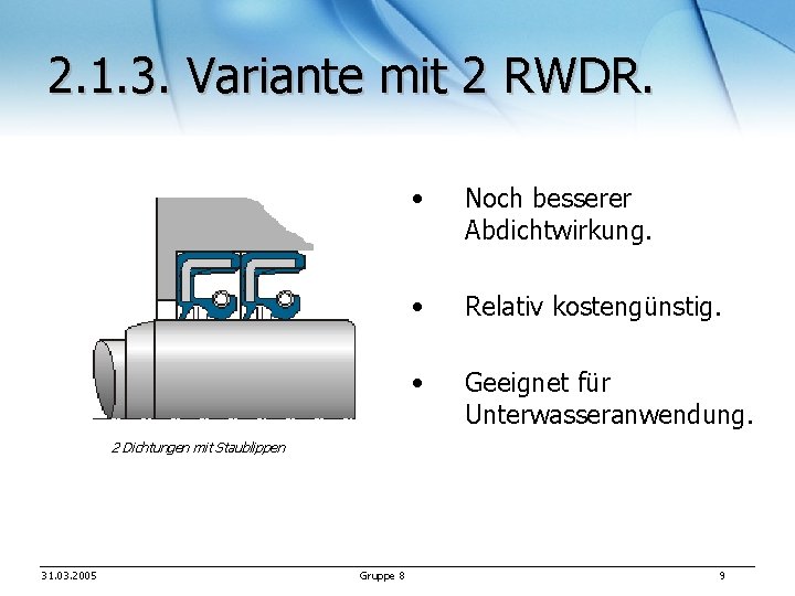2. 1. 3. Variante mit 2 RWDR. • Noch besserer Abdichtwirkung. • Relativ kostengünstig.