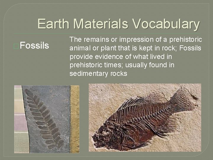 Earth Materials Vocabulary �Fossils The remains or impression of a prehistoric animal or plant