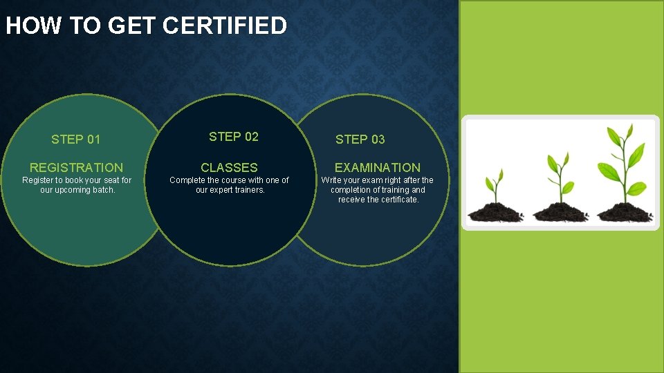 HOW TO GET CERTIFIED STEP 01 STEP 02 STEP 03 REGISTRATION CLASSES EXAMINATION Register