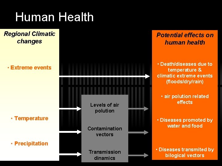 Human Health Regional Climatic changes Potential effects on human health • Death/diseases due to