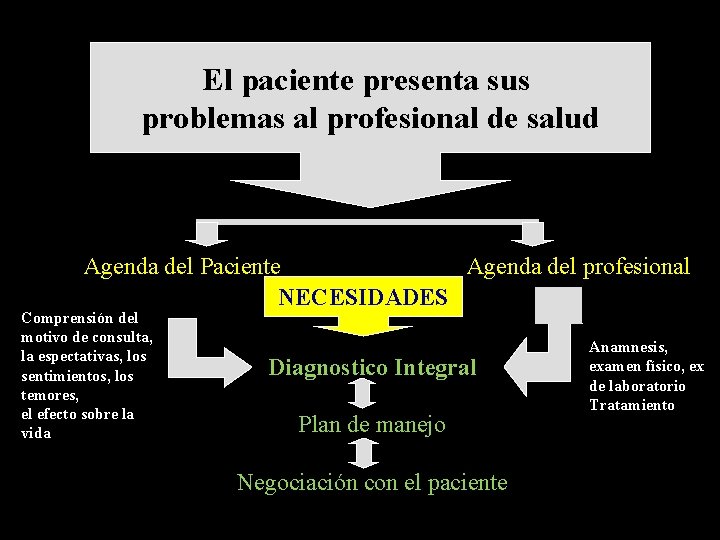 El paciente presenta sus problemas al profesional de salud Agenda del Paciente Agenda del