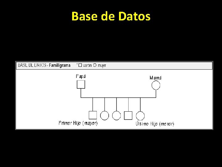 Base de Datos 