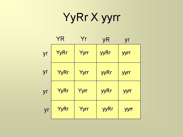 Yy. Rr X yyrr YR Yr y. R yr yr Yy. Rr Yyrr yy.