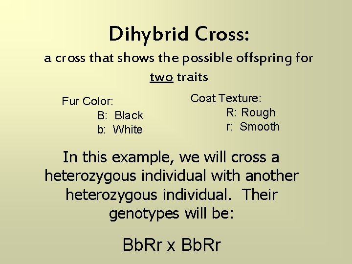 Dihybrid Cross: a cross that shows the possible offspring for two traits Fur Color: