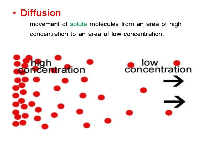  • Diffusion – movement of solute molecules from an area of high concentration