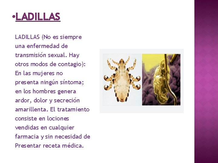  • LADILLAS (No es siempre una enfermedad de transmisión sexual. Hay otros modos