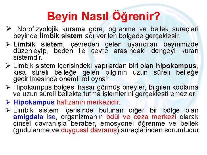 Beyin Nasıl Öğrenir? Ø Nörofizyolojik kurama göre, öğrenme ve bellek süreçleri Ø Ø Ø