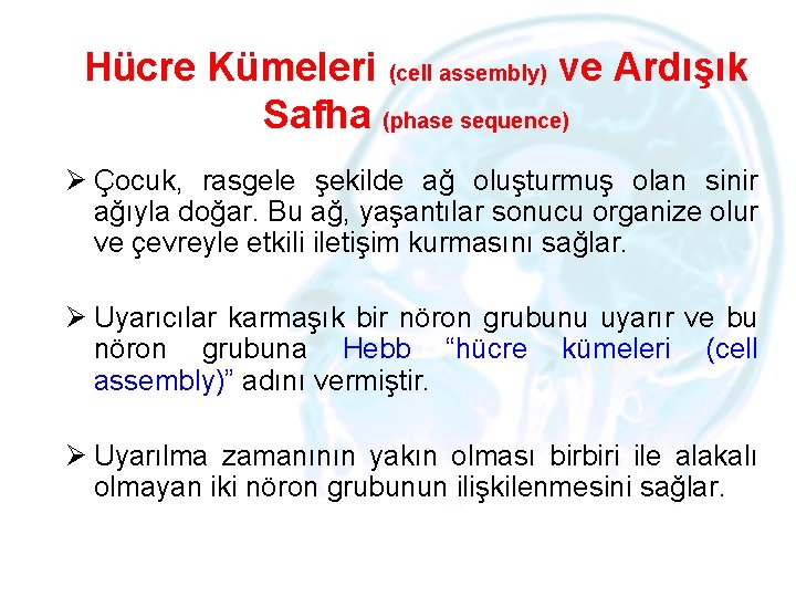 Hücre Kümeleri (cell assembly) ve Ardışık Safha (phase sequence) Ø Çocuk, rasgele şekilde ağ