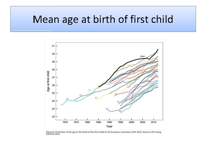 Mean age at birth of first child 