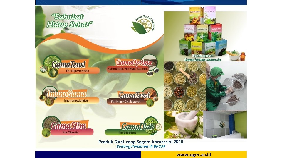 Produk Obat yang Segera Komersial 2015 Sedang Perizinan di BPOM www. ugm. ac. id