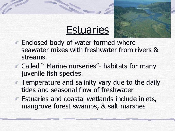 Estuaries Enclosed body of water formed where seawater mixes with freshwater from rivers &