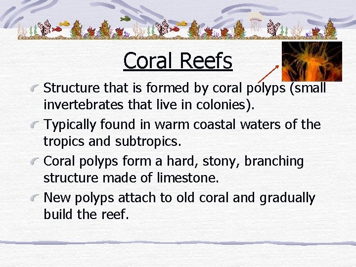 Coral Reefs Structure that is formed by coral polyps (small invertebrates that live in