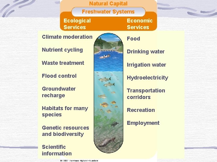 Natural Capital Freshwater Systems Ecological Services Economic Services Climate moderation Food Nutrient cycling Drinking