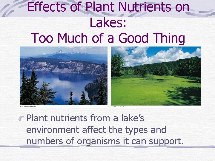 Effects of Plant Nutrients on Lakes: Too Much of a Good Thing Plant nutrients