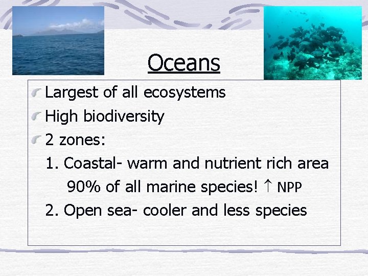 Oceans Largest of all ecosystems High biodiversity 2 zones: 1. Coastal- warm and nutrient
