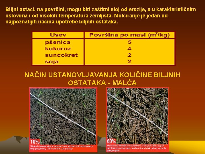 Biljni ostaci, na površini, mogu biti zaštitni sloj od erozije, a u karakterističnim uslovima