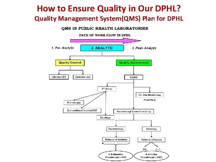How to Ensure Quality in Our DPHL? Quality Management System(QMS) Plan for DPHL 