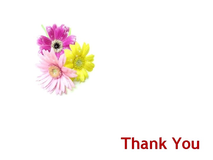 Thank You 