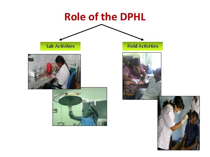 Role of the DPHL Lab Activities Field Activities 