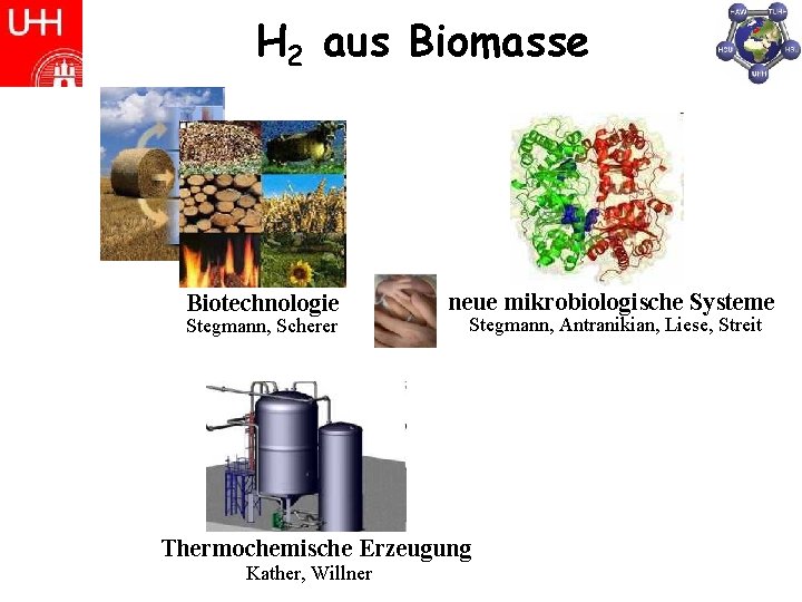 H 2 aus Biomasse Biotechnologie Stegmann, Scherer neue mikrobiologische Systeme Stegmann, Antranikian, Liese, Streit