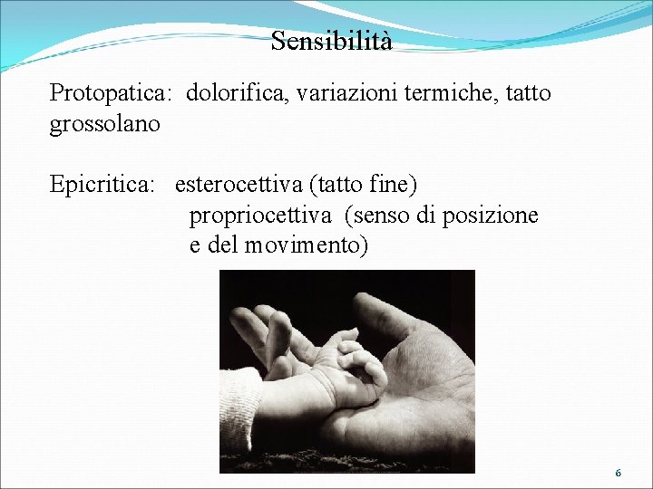 Sensibilità Protopatica: dolorifica, variazioni termiche, tatto grossolano Epicritica: esterocettiva (tatto fine) propriocettiva (senso di