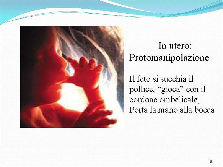 In utero: Protomanipolazione Il feto si succhia il pollice, “gioca” con il cordone ombelicale,