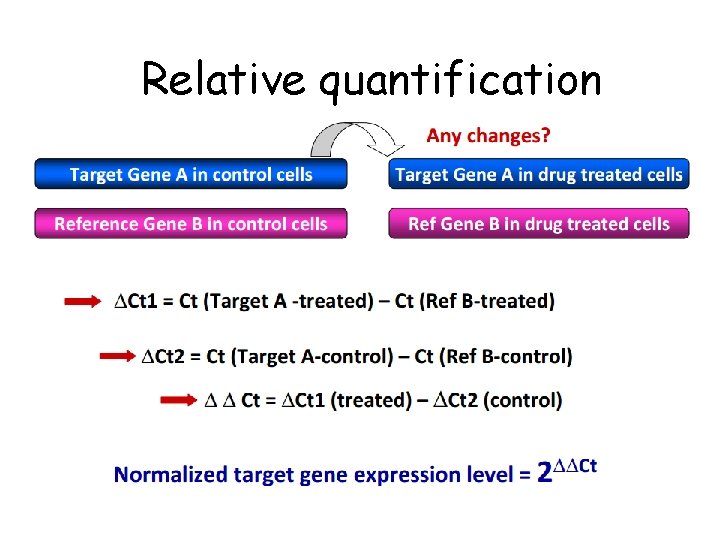Relative quantification 