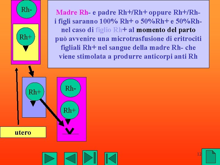 Rh- Rh+ Madre Rh- e padre Rh+/Rh+ oppure Rh+/Rhi figli saranno 100% Rh+ o