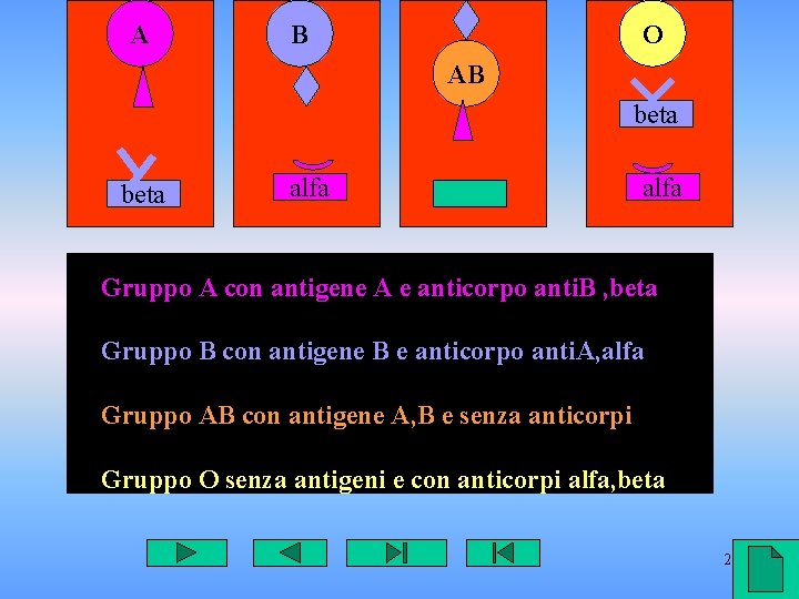 A B O AB beta alfa Gruppo A con antigene A e anticorpo anti.