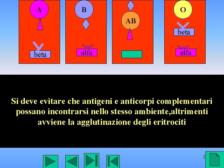 A B O AB beta alfa Si deve evitare che antigeni e anticorpi complementari