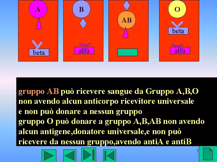 A B O AB beta alfa gruppo AB può ricevere sangue da Gruppo A,