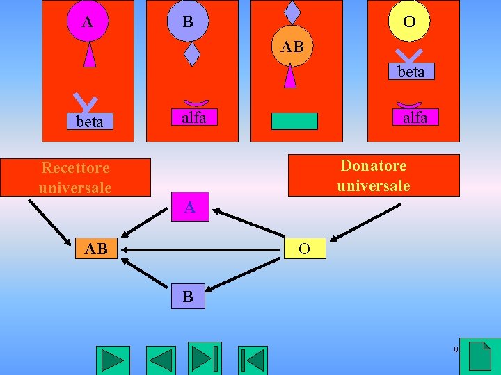 A B O AB beta alfa Donatore universale Recettore universale A AB O B