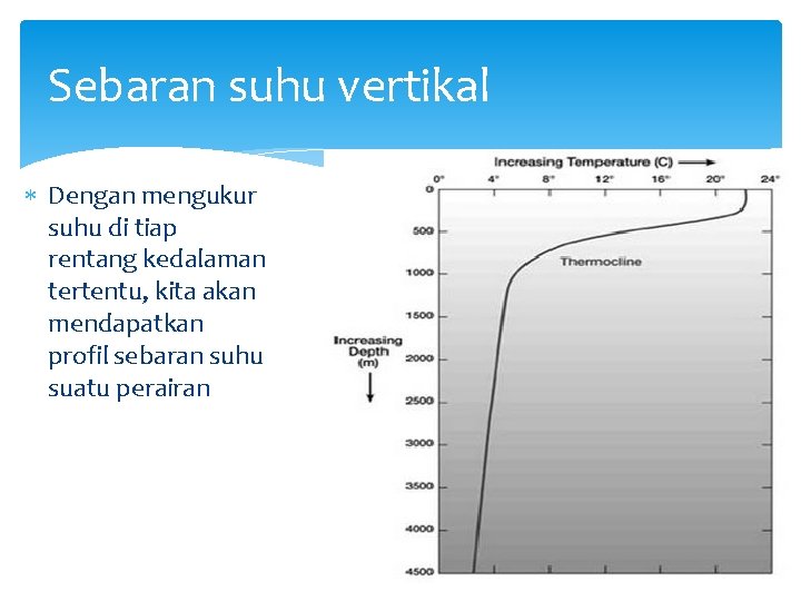 Sebaran suhu vertikal Dengan mengukur suhu di tiap rentang kedalaman tertentu, kita akan mendapatkan