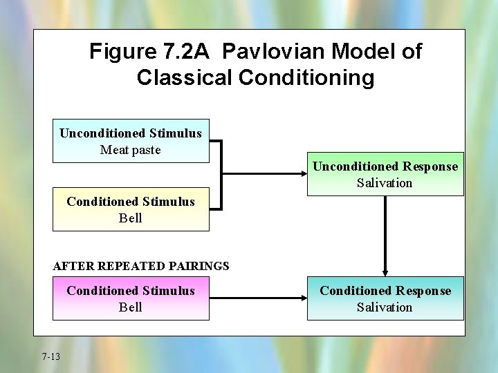Figure 7. 2 A Pavlovian Model of Classical Conditioning Unconditioned Stimulus Meat paste Unconditioned