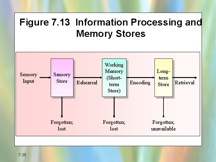 Figure 7. 13 Information Processing and Memory Stores Sensory Input Sensory Store Forgotten; lost