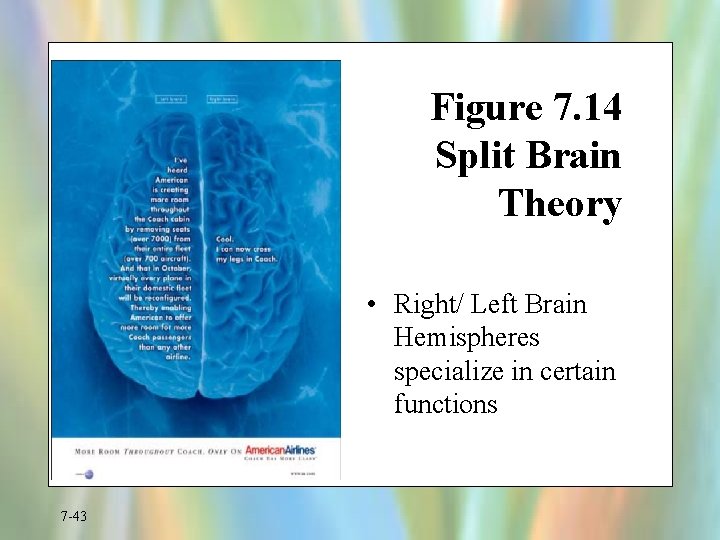 Figure 7. 14 Split Brain Theory • Right/ Left Brain Hemispheres specialize in certain