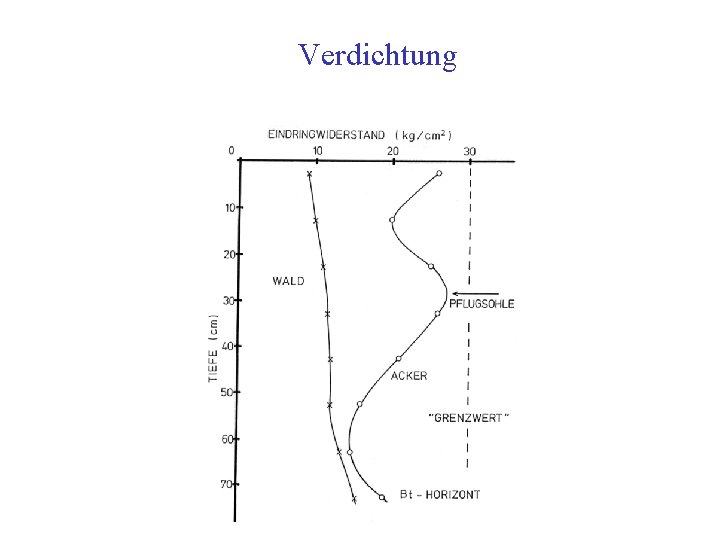 Verdichtung 