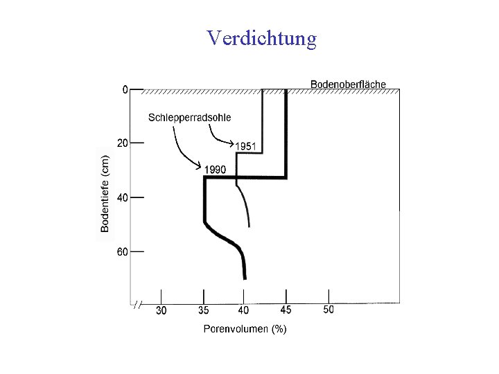 Verdichtung 